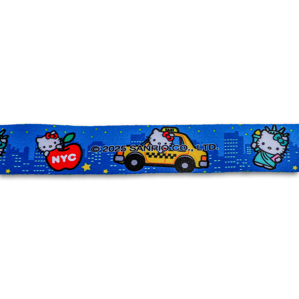 Sanrio Hello Kitty NYC deluxe pins and lanyard set, limited edition enamel pins with colorful designs and matching lanyard.