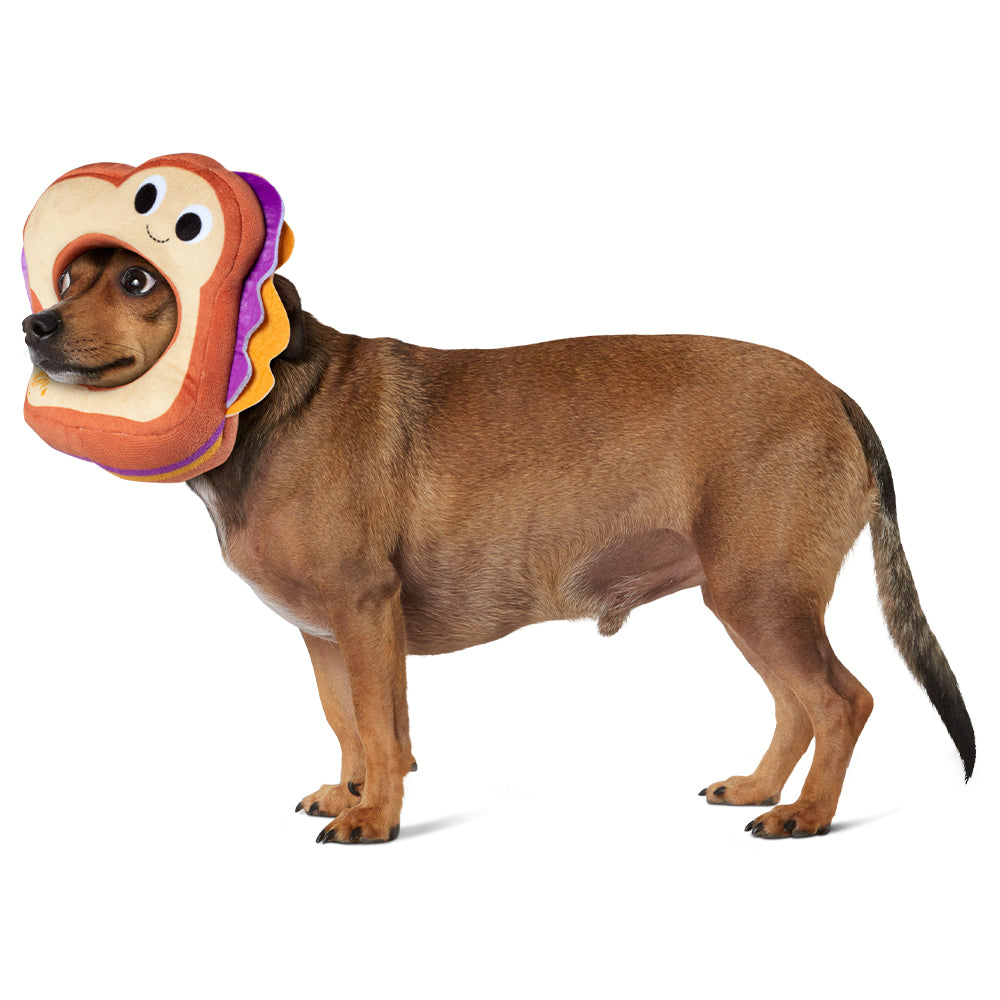 Yummy World Parker the Peanut Butter & Jelly Sandwich Pet Headpiece (PRE-ORDER) - Kidrobot