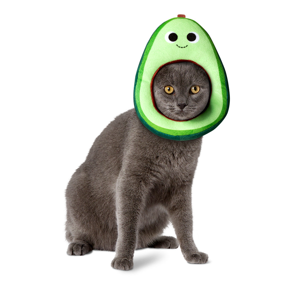 Yummy World Eva the Avocado Pet Headpiece (PRE-ORDER) - Kidrobot