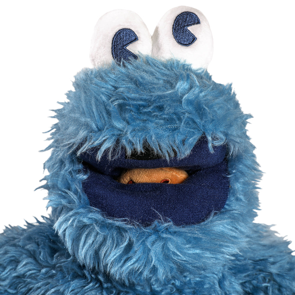 Sesame Street Cookie Monster 13” Interactive Plush - Kidrobot