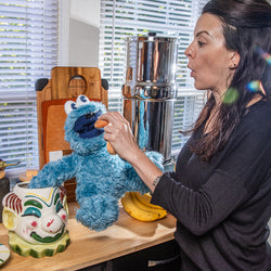 sesame street monsters on the loose Sesame Street Cookie Monster 13” Interactive Plush