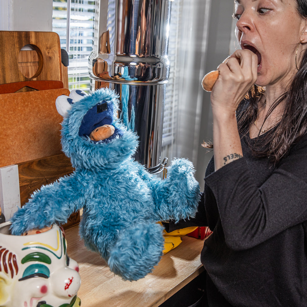 Sesame Street Cookie Monster 13” Interactive Plush - Kidrobot