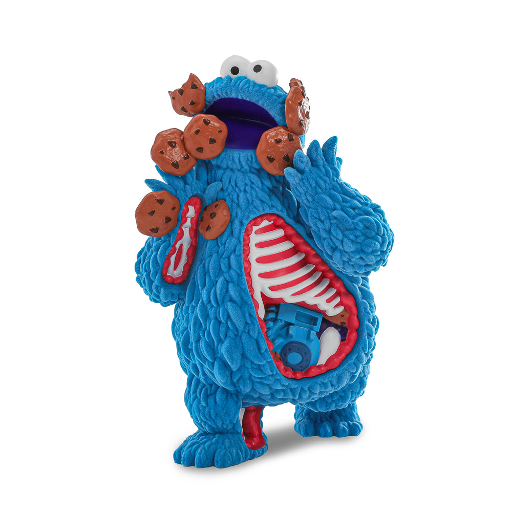 Sesame Street - Kaiju Anatomy Cookie Monster 8" Flocked Vinyl Art Figure - Kidrobot