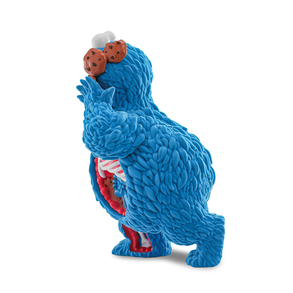 Sesame Street - Kaiju Anatomy Cookie Monster 8" Flocked Vinyl Art Figure - Kidrobot