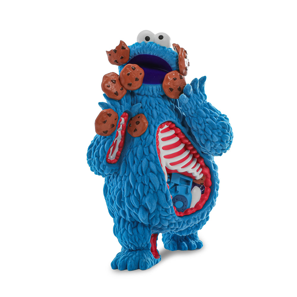 Sesame Street - Kaiju Anatomy Cookie Monster 8" Flocked Vinyl Art Figure - Kidrobot
