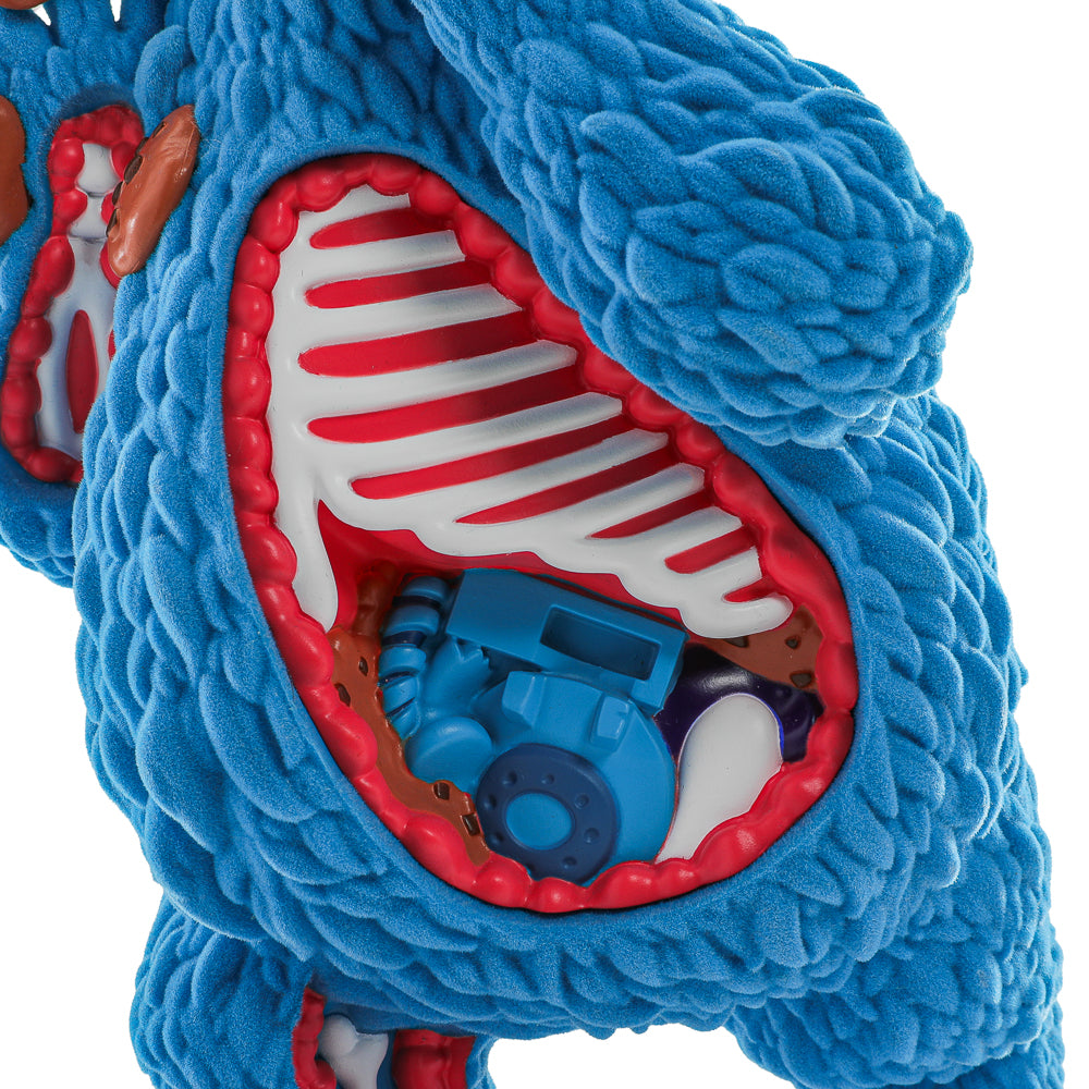 Sesame Street - Kaiju Anatomy Cookie Monster 8" Flocked Vinyl Art Figure - Kidrobot