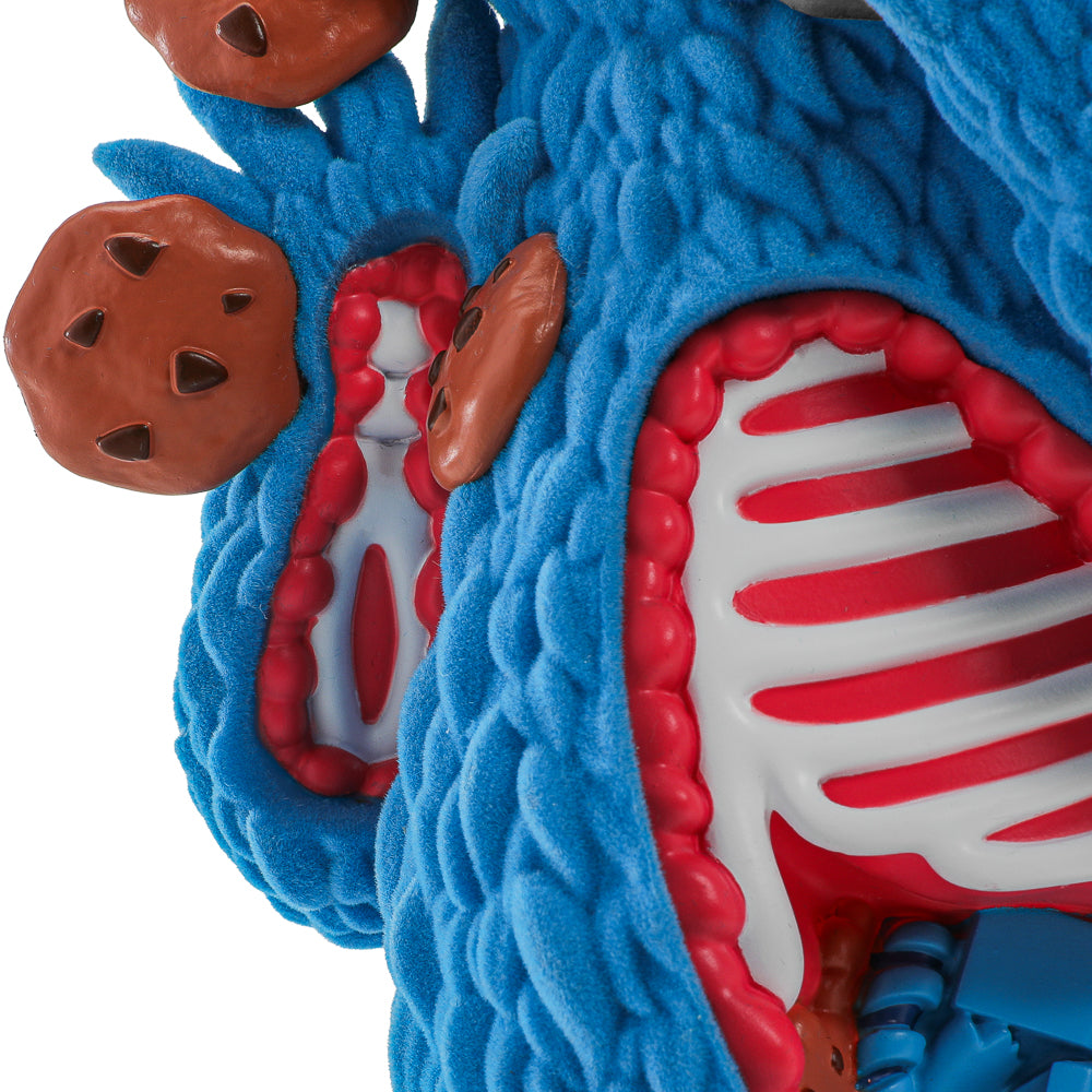 Sesame Street - Kaiju Anatomy Cookie Monster 8" Flocked Vinyl Art Figure - Kidrobot