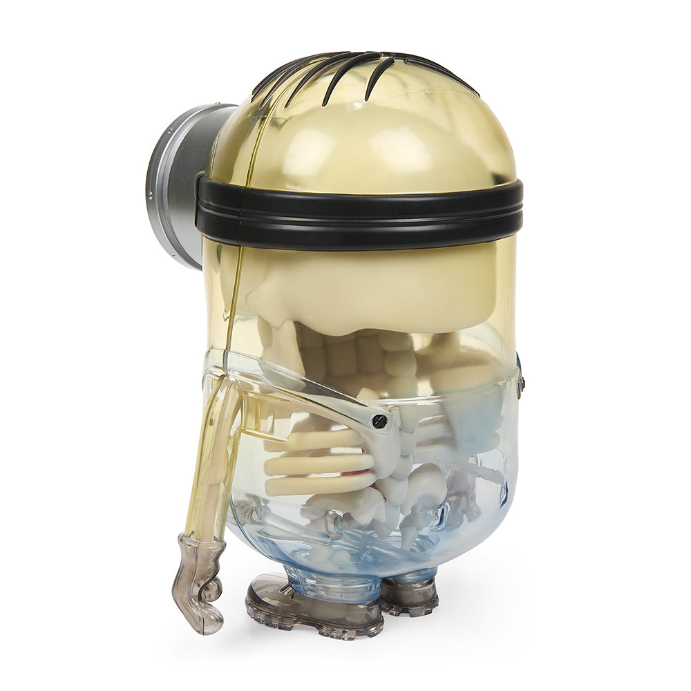 Minions Anatomy 8